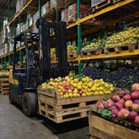 Nick Steinman profile picture